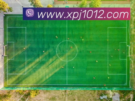 澳门新葡京入口品牌故事