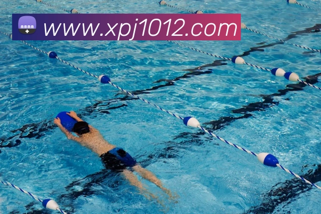 澳门新葡京入口服务体系